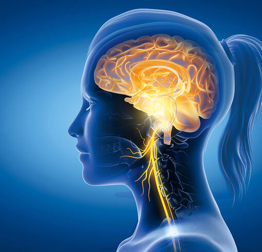Neurologie